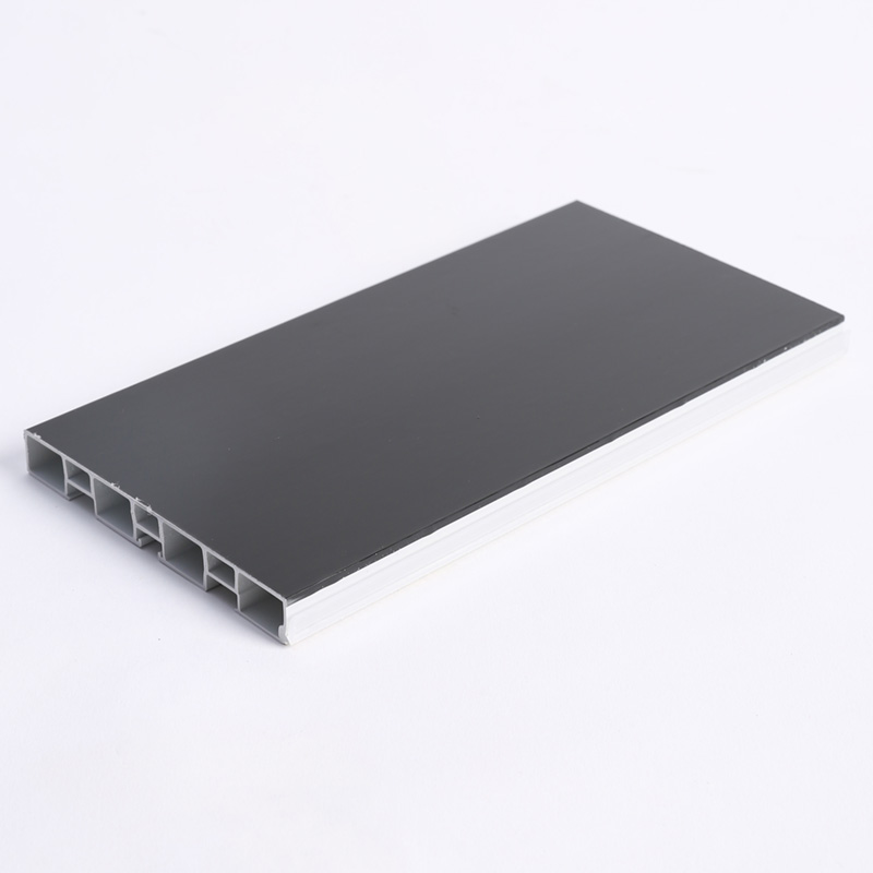 Double Layer Kickboard